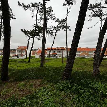 Areal Da Ria Casa de Férias